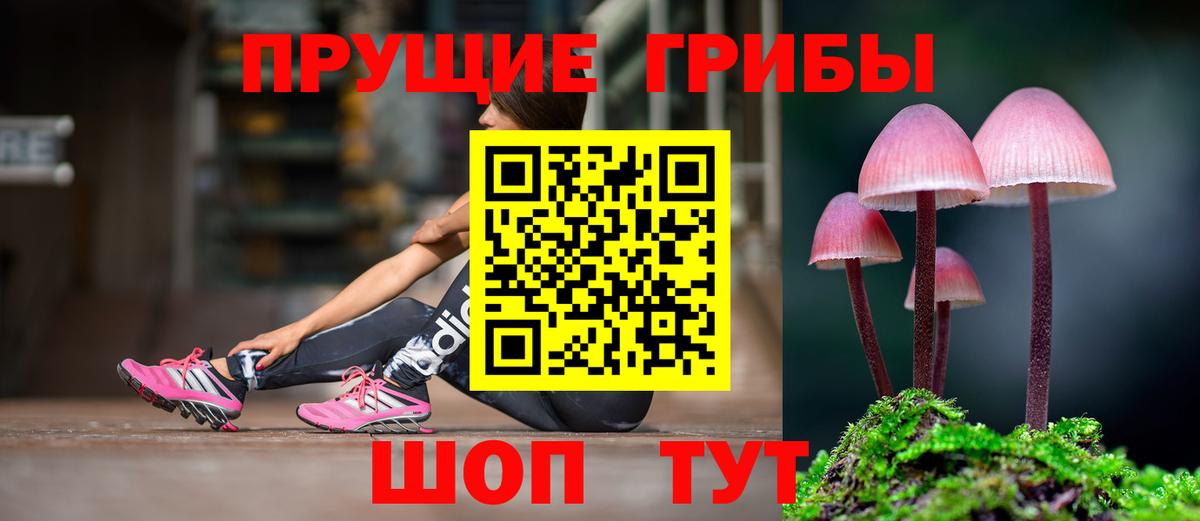 Галлюциногенные грибы GOLDEN TEACHER  Галлюциногенные грибы мухоморы  Ижевск  Вход с VPN 